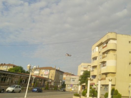 Primăria Năvodari a băgat 550 de milioane în campania de dezinsecţie